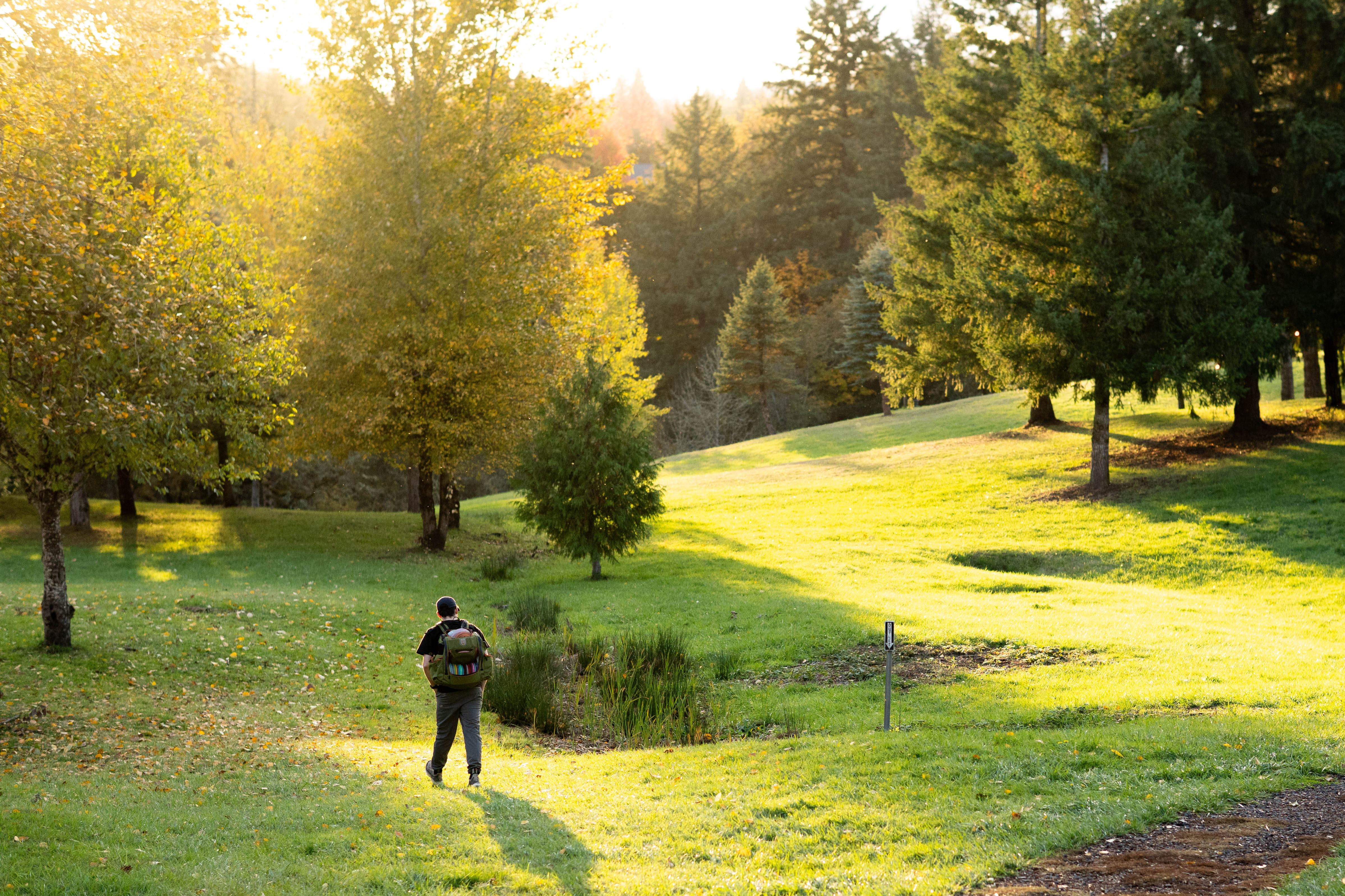 ‘The Community is Wild About Trails’: Takeaways from the CPRD Public Survey