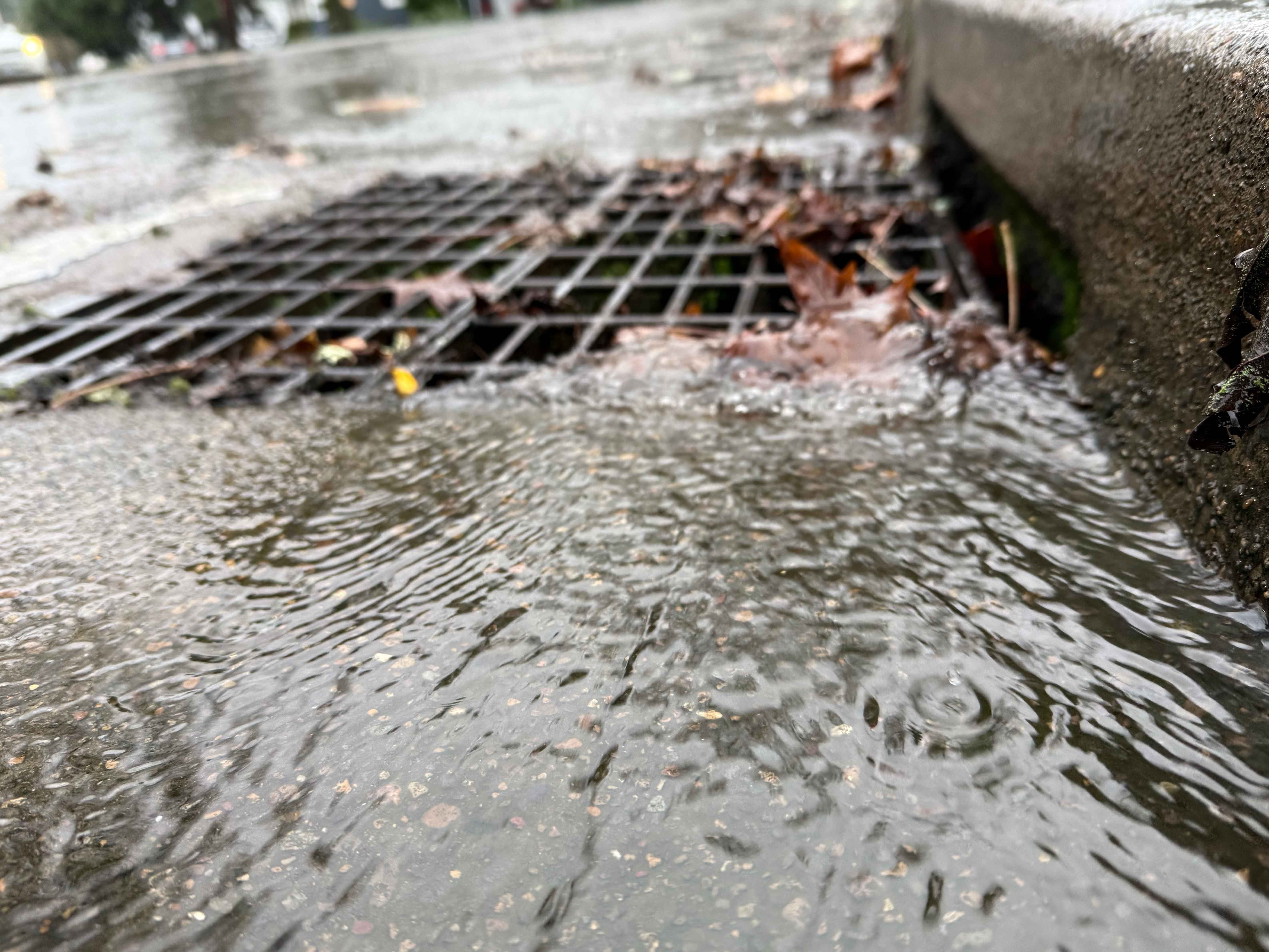 Water rushing down a storm drain in Newberg during an atmospheric river on Dec. 18, 2025. (Branden Andersen / Newsberg)
