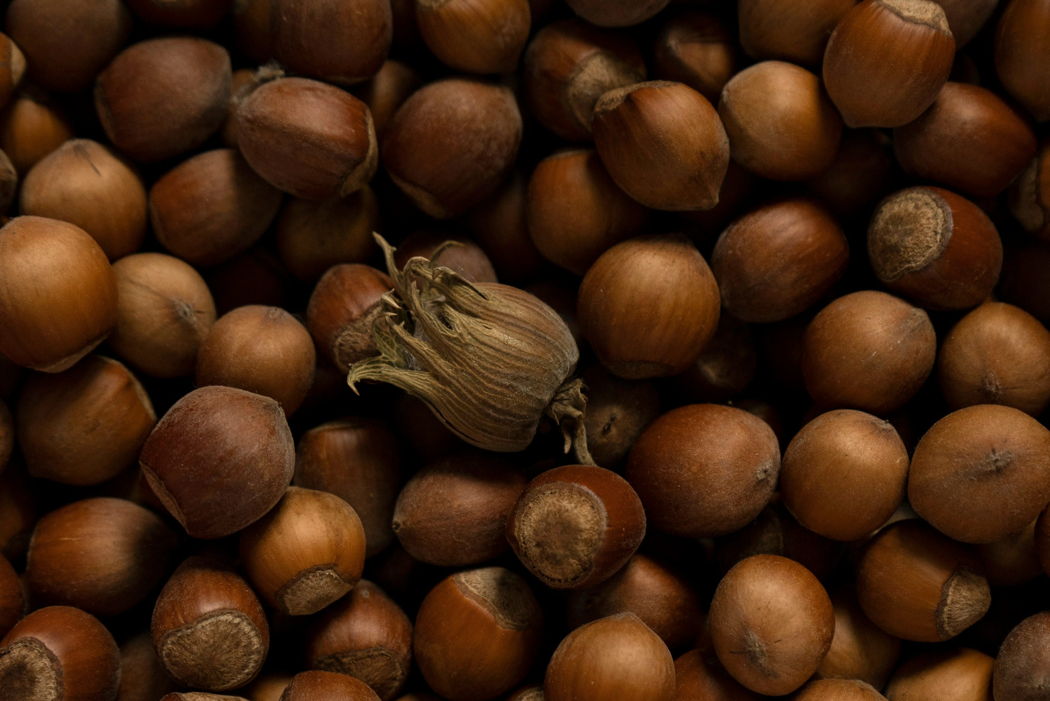 Photo by Victoria Druc on Unsplash