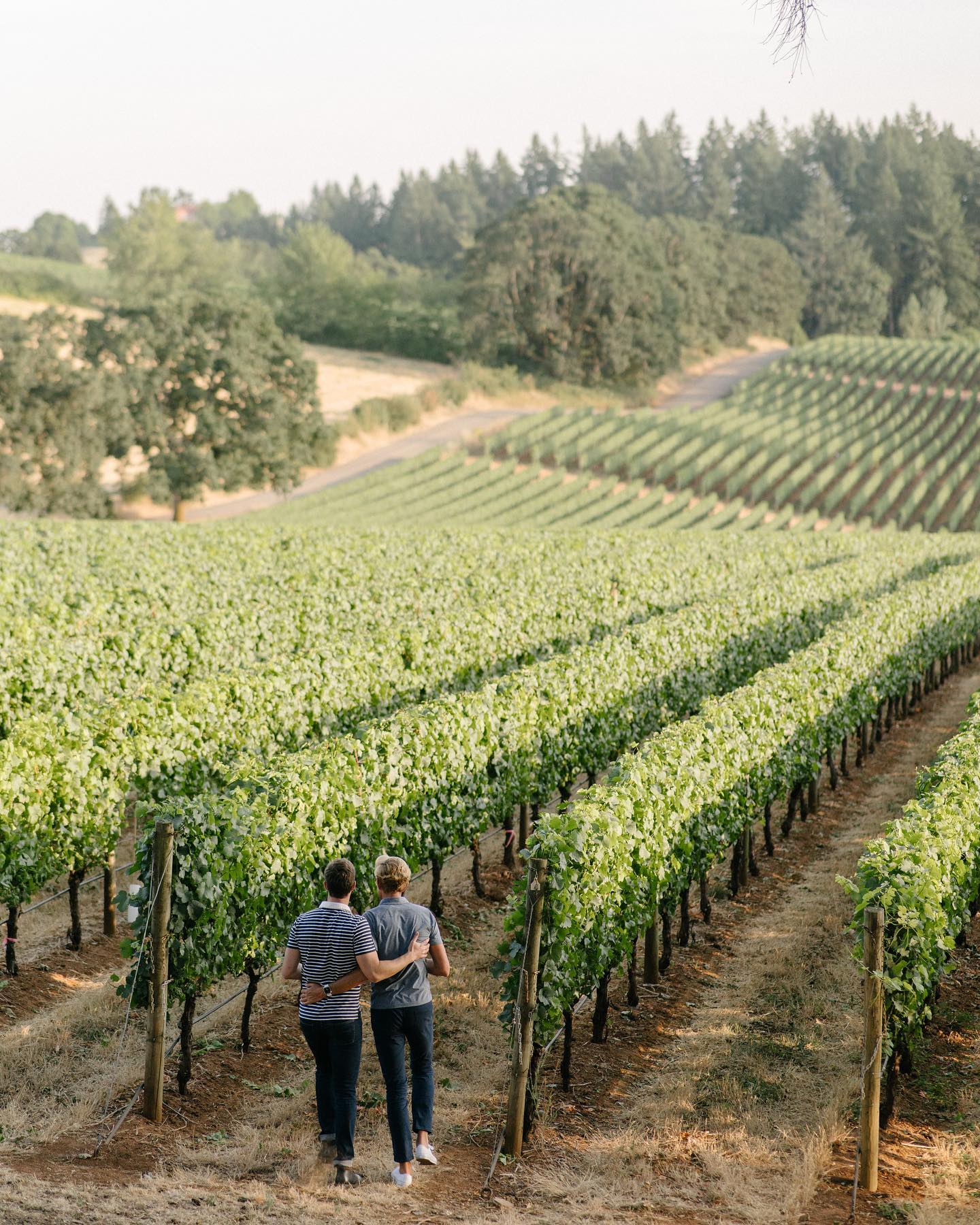 Italian Wine Group Acquires Dundee Hills Vineyard from Coppola-Owned Domaine Lumineux